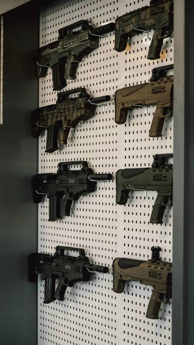 custom gun vault
